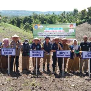 ALIHKAN BUDIDAYA GANJA, BNN RI TANAM JAGUNG BERSAMA PULUHAN PETANI ACEH — foto 7