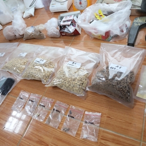 ungkap kasus — foto 6
