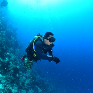 Kepala BNN RI Ucapkan Selamat Natal dan Tahun Baru 2023 Dari Dalam Laut Bunaken — foto 4