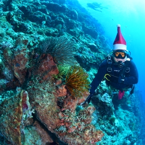 Kepala BNN RI Ucapkan Selamat Natal dan Tahun Baru 2023 Dari Dalam Laut Bunaken — foto 7