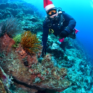 Kepala BNN RI Ucapkan Selamat Natal dan Tahun Baru 2023 Dari Dalam Laut Bunaken — foto 8