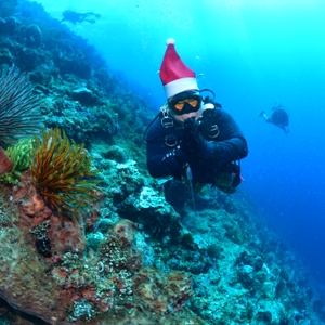 Kepala BNN RI Ucapkan Selamat Natal dan Tahun Baru 2023 Dari Dalam Laut Bunaken — foto 10