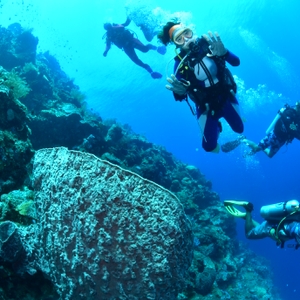 Kepala BNN RI Ucapkan Selamat Natal dan Tahun Baru 2023 Dari Dalam Laut Bunaken — foto 12