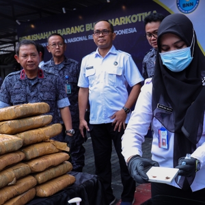 Pemusnahan BB Ganja — foto 2