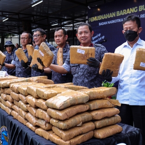 Pemusnahan BB Ganja — foto 3