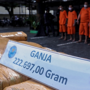 Pemusnahan BB Ganja — foto 8