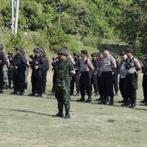 Sambut HUT Ke-21, BNN RI Musnahkan 4 Hektar Ladang Ganja Di Lhokseumawe — foto 3