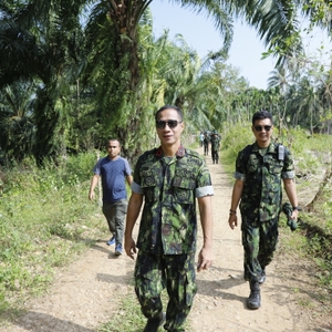 Sambut HUT Ke-21, BNN RI Musnahkan 4 Hektar Ladang Ganja Di Lhokseumawe — foto 6