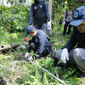 Sambut HUT Ke-21, BNN RI Musnahkan 4 Hektar Ladang Ganja Di Lhokseumawe — foto 9