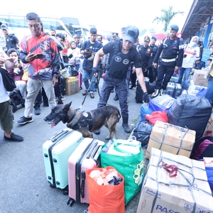 PASTIKAN MUDIK AMAN, BNN TES URINE SOPIR BUS AKAP DI TERMINAL KAMPUNG RAMBUTAN — foto 10