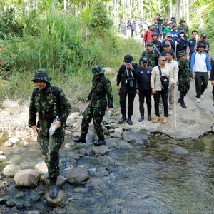 BNN RI KEMBALI MUSNAHKAN LADANG GANJA SIAP PANEN DI ACEH UTARA — foto 13