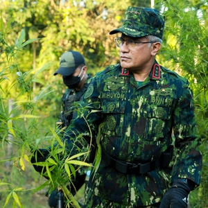 KEPALA BNN RI PIMPIN PEMUSNAHAN LAHAN GANJA DI ACEH UTARA — foto 4
