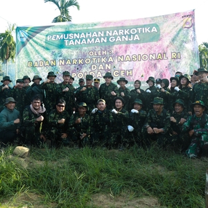 KEPALA BNN RI PIMPIN PEMUSNAHAN LAHAN GANJA DI ACEH UTARA — foto 12