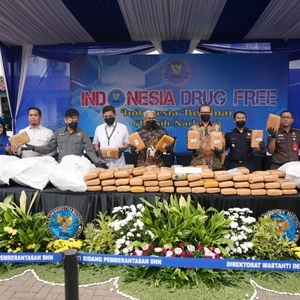 BNN MUSNAHKAN 200 KG GANJA SIAP EDAR JAKARTA — foto 5
