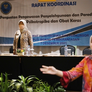BNN – STAKEHOLDER PERKUAT AKSI MELAWAN NARKOBA MELALUI PENGUATAN PENGAWASAN DISTRIBUSI PSIKOTROPIKA DAN OBAT KERAS — foto 14