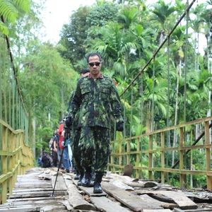 Pemusnahan Ladang Ganja — foto 1