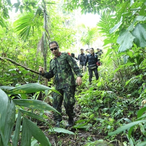 Pemusnahan Ladang Ganja — foto 2