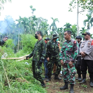 Pemusnahan Ladang Ganja — foto 5