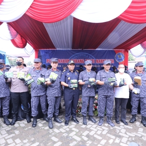 BNN RI Musnahkan 4,7 Kuintal Narkotika Dari 10 Kasus Berbeda — foto 19